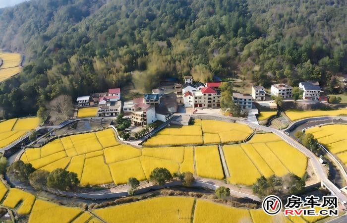 房车嘉年华现场
